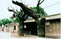 20200211163146416.png 20200211163146416.png