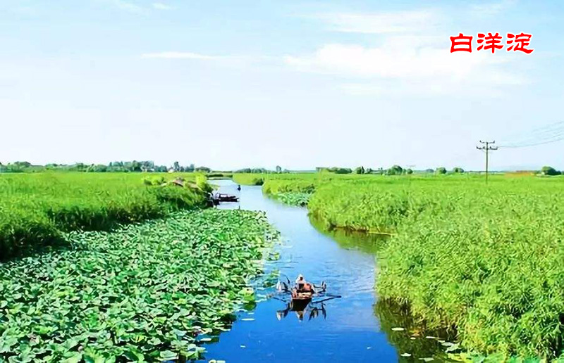 ba37bff9d7ff1b3585082a16b9add222.jpg ba37bff9d7ff1b3585082a16b9add222.jpg