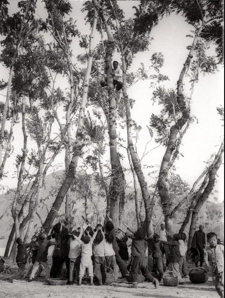 20210812172854942.jpg 20210812172854942.jpg