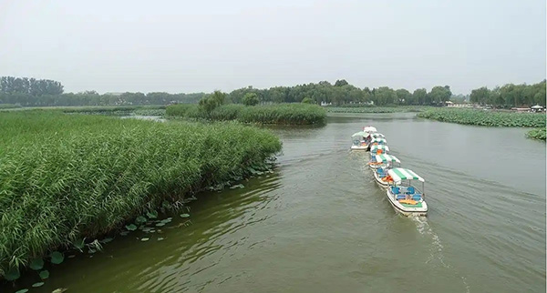 雄安培訓基地 雄安培訓基地